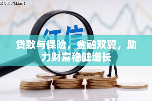水里贷款与保险，金融双翼，助力财富稳健增长