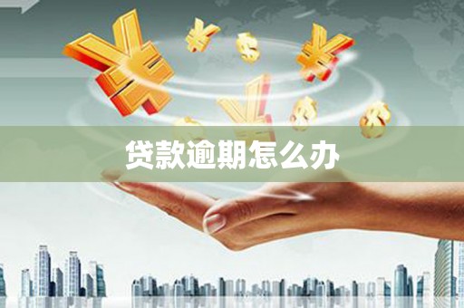 水里贷款逾期怎么办
