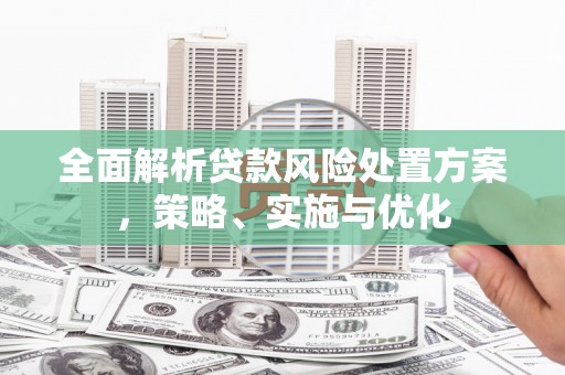 水里全面解析贷款风险处置方案，策略、实施与优化
