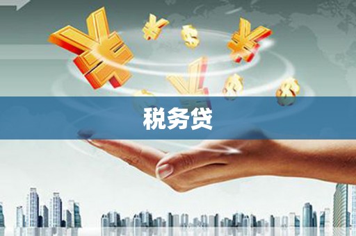 水里税务贷