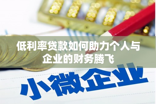 水里低利率贷款如何助力个人与企业的财务腾飞