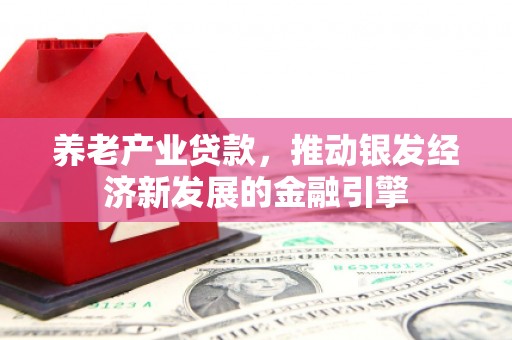 水里养老产业贷款，推动银发经济新发展的金融引擎