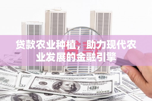 水里贷款农业种植，助力现代农业发展的金融引擎