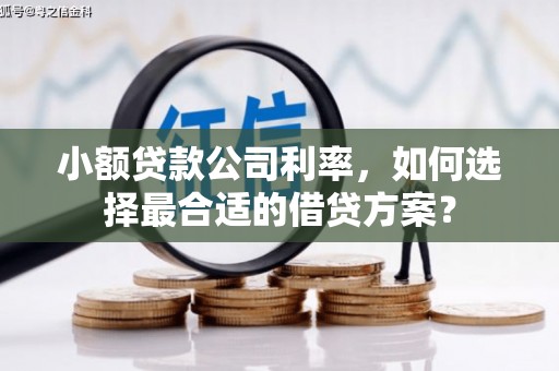 水里小额贷款公司利率，如何选择最合适的借贷方案？