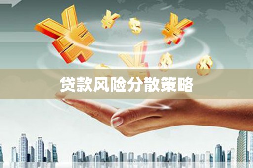 水里贷款风险分散策略