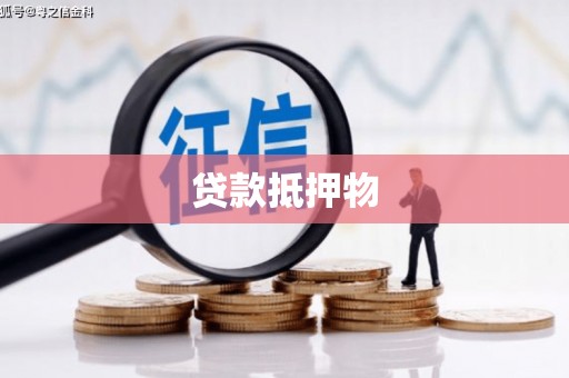 水里贷款抵押物