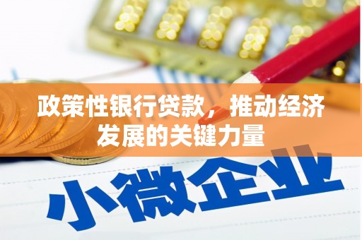 水里政策性银行贷款，推动经济发展的关键力量