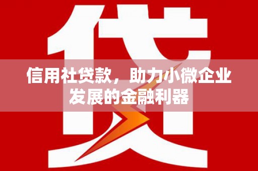 水里信用社贷款，助力小微企业发展的金融利器