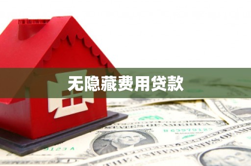 水里无隐藏费用贷款