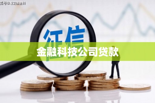 水里金融科技公司贷款