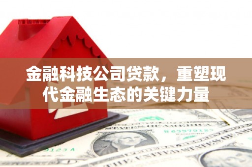 水里金融科技公司贷款，重塑现代金融生态的关键力量