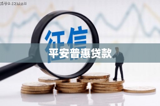 水里平安普惠贷款