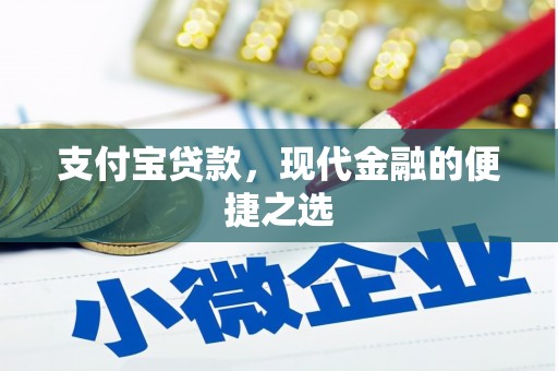 水里支付宝贷款，现代金融的便捷之选