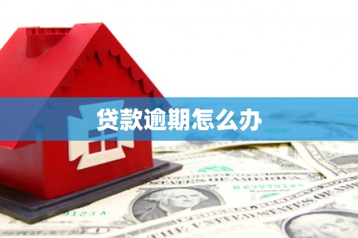 水里贷款逾期怎么办