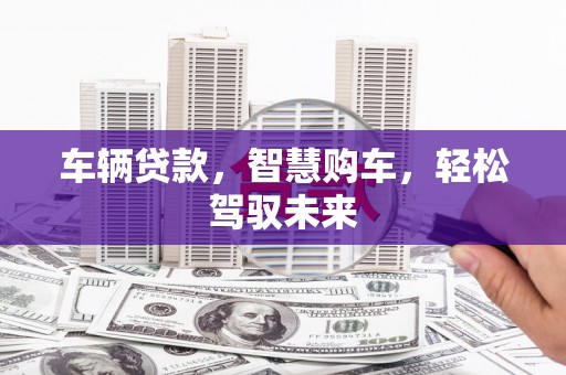 水里车辆贷款，智慧购车，轻松驾驭未来