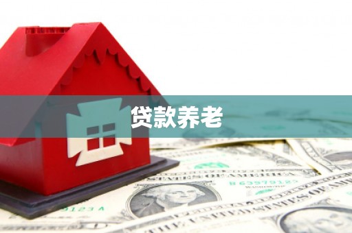 水里贷款养老