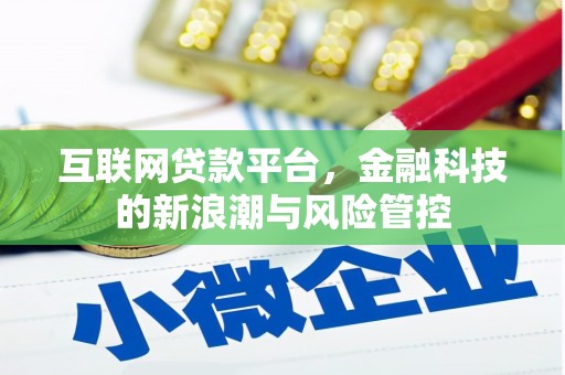 水里互联网贷款平台，金融科技的新浪潮与风险管控