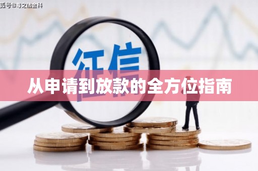 水里从申请到放款的全方位指南