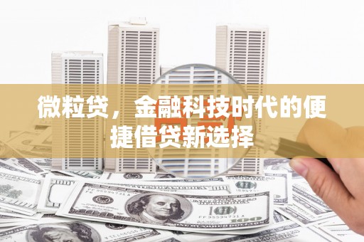 水里微粒贷，金融科技时代的便捷借贷新选择