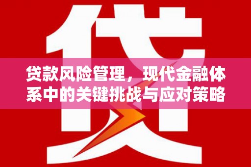 水里贷款风险管理，现代金融体系中的关键挑战与应对策略