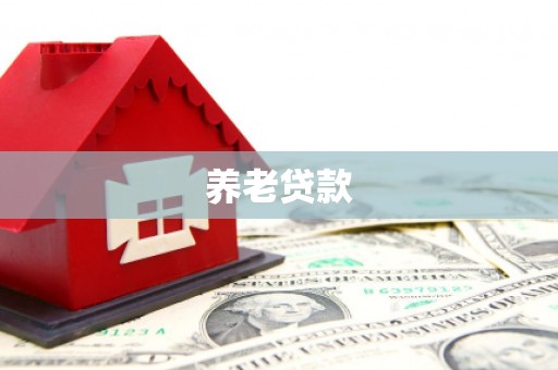 水里养老贷款