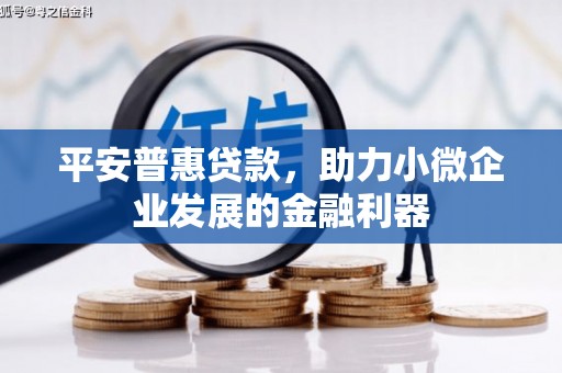 水里平安普惠贷款，助力小微企业发展的金融利器