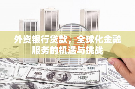 水里外资银行贷款，全球化金融服务的机遇与挑战