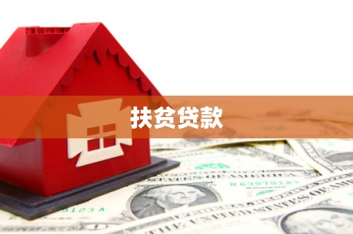 水里扶贫贷款