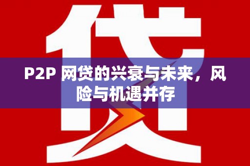水里P2P 网贷的兴衰与未来，风险与机遇并存