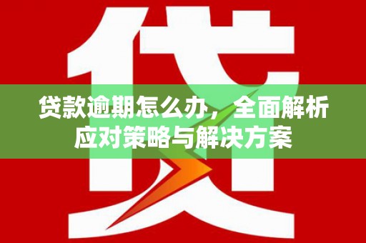 水里贷款逾期怎么办，全面解析应对策略与解决方案
