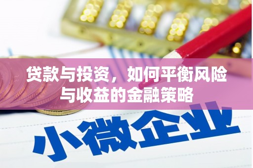水里贷款与投资，如何平衡风险与收益的金融策略