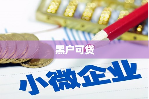 水里黑户可贷