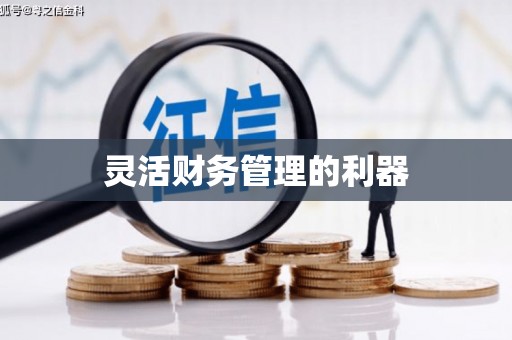 水里灵活财务管理的利器