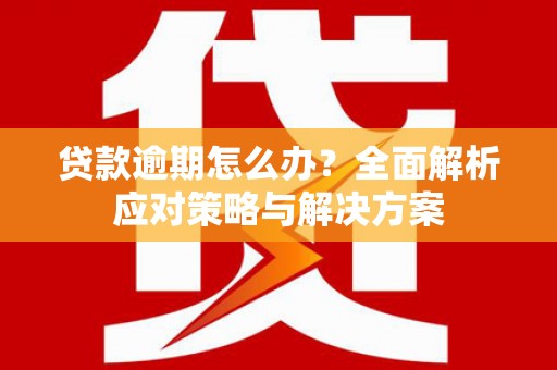 水里贷款逾期怎么办？全面解析应对策略与解决方案
