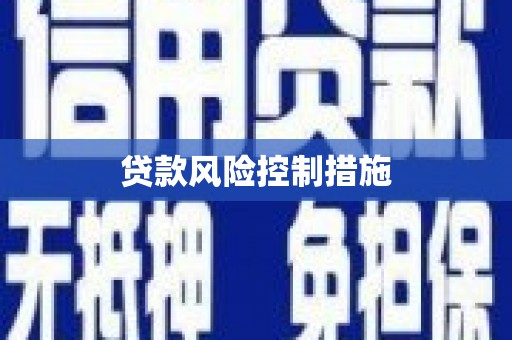 水里贷款风险控制措施