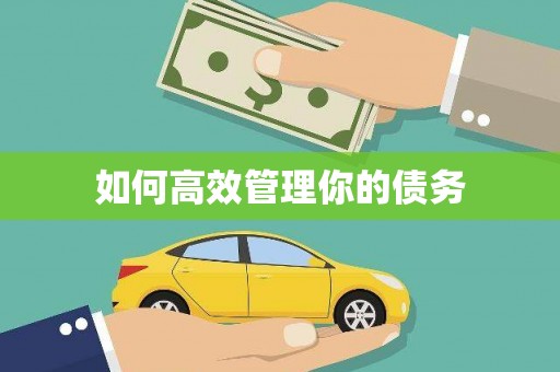 水里如何高效管理你的债务