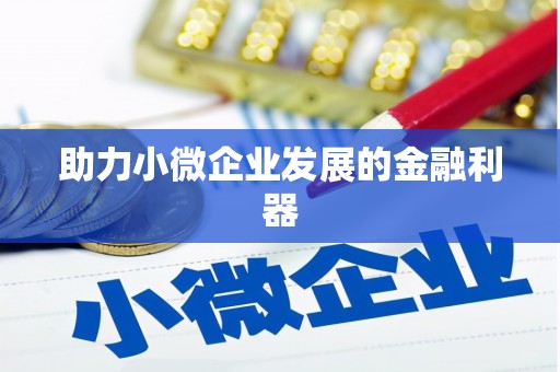 水里助力小微企业发展的金融利器