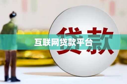 水里互联网贷款平台