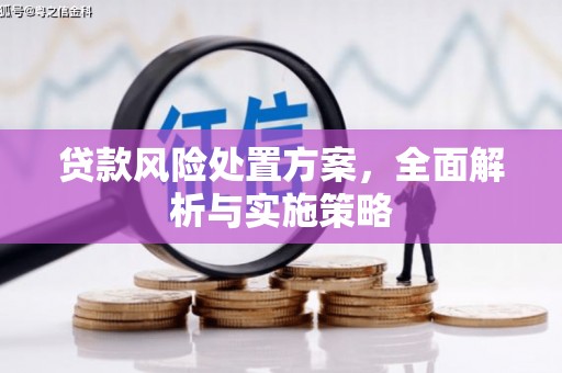 水里贷款风险处置方案，全面解析与实施策略