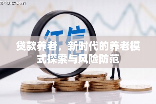 水里贷款养老，新时代的养老模式探索与风险防范