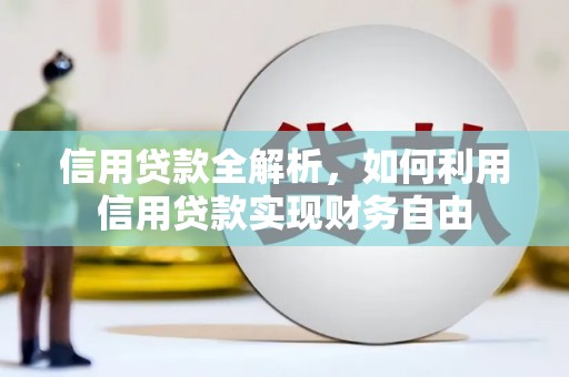 水里信用贷款全解析，如何利用信用贷款实现财务自由