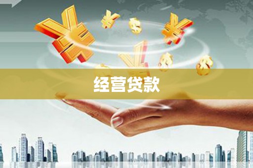 水里经营贷款