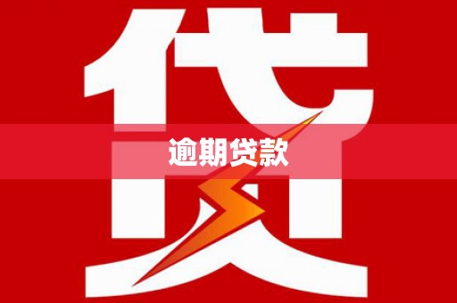 水里逾期贷款