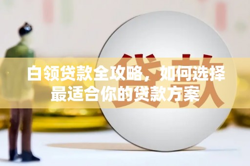 水里白领贷款全攻略，如何选择最适合你的贷款方案