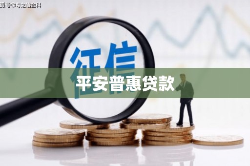 水里平安普惠贷款