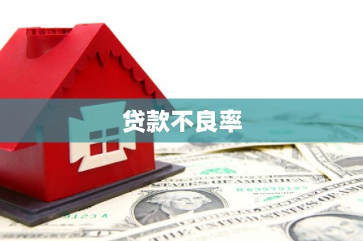 水里贷款不良率