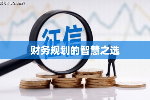 水里财务规划的智慧之选