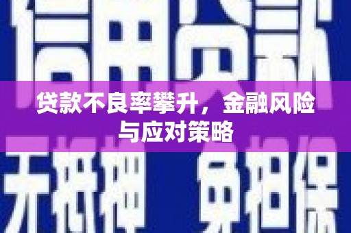 水里贷款不良率攀升，金融风险与应对策略